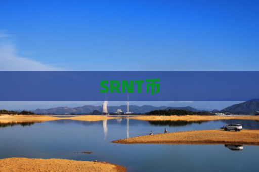 SRNT币-图1