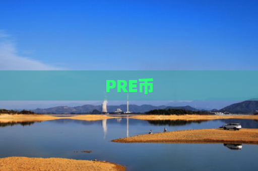 PRE币-图1