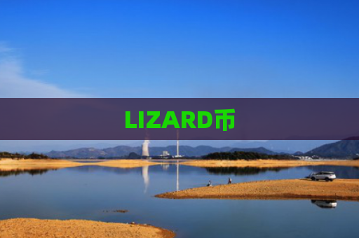 LIZARD币-图1
