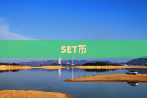 SET币-图1