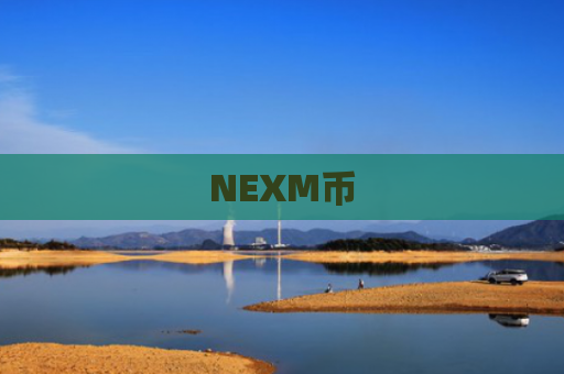 NEXM币-图1