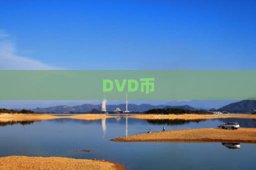 DVD币-图1