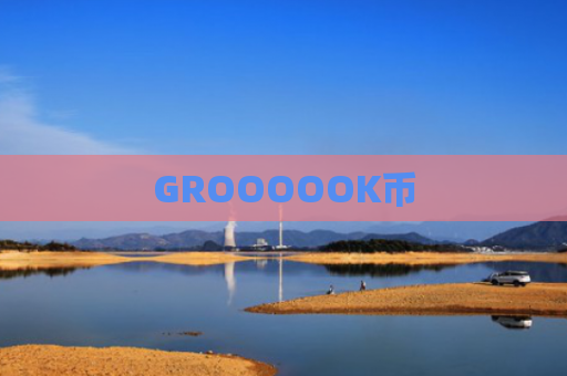 GROOOOOK币-图1