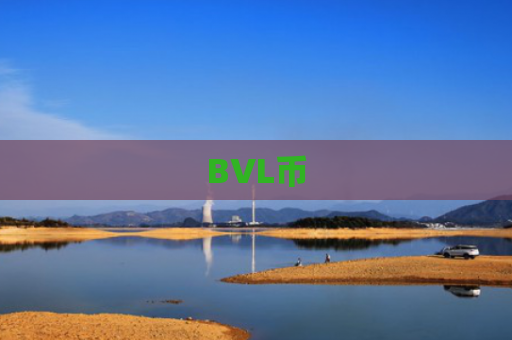 BVL币