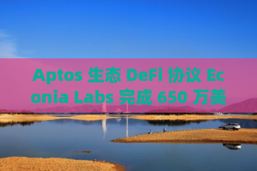 Aptos 生态 DeFi 协议 Econia Labs 完成 650 万美元种子轮融资，Dragonfly 领投