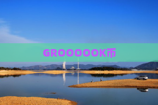 GROOOOOK币