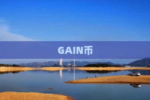 GAIN币
