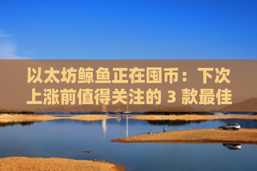 以太坊鲸鱼正在囤币：下次上涨前值得关注的 3 款最佳山寨币