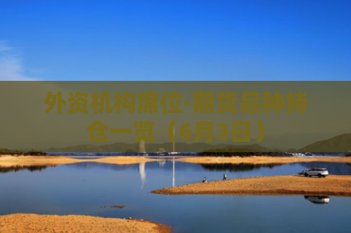 外资机构席位·期货品种持仓一览（6月3日）-图1