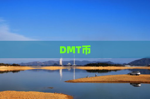 DMT币