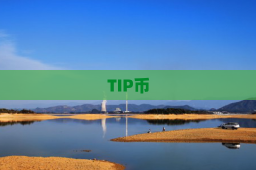 TIP币-图1