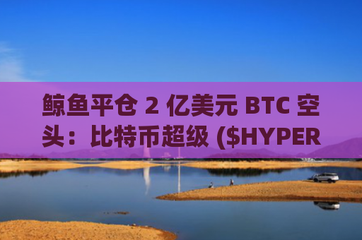鲸鱼平仓 2 亿美元 BTC 空头：比特币超级 ($HYPER) 能否引领下一轮反弹？