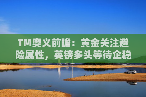 TM奥义前瞻：黄金关注避险属性，英镑多头等待企稳！-图1