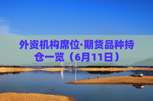 外资机构席位·期货品种持仓一览（6月11日）-图1