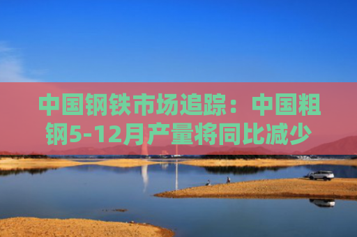 中国钢铁市场追踪：中国粗钢5-12月产量将同比减少X万吨，原料价格仍将承压运行？-图1