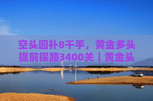 空头回补8千手，黄金多头提前探路3400关｜黄金头条-图1