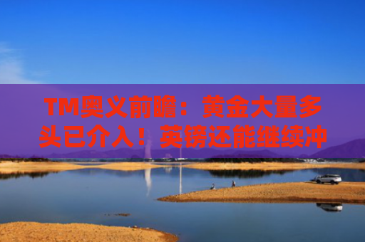 TM奥义前瞻：黄金大量多头已介入！英镑还能继续冲锋？-图1