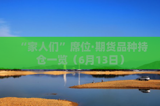 “家人们”席位·期货品种持仓一览（6月13日）-图1