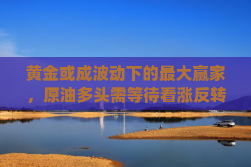黄金或成波动下的最大赢家，原油多头需等待看涨反转信号！ | Live分析更新中-图1
