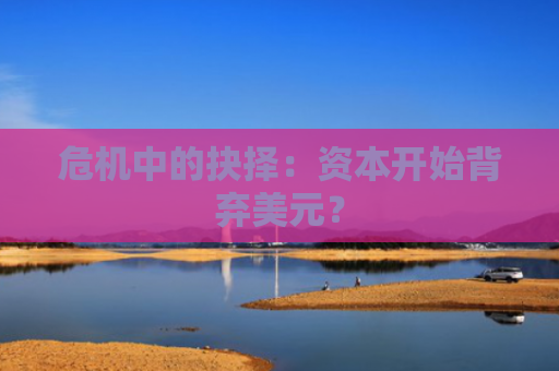 危机中的抉择：资本开始背弃美元？-图1