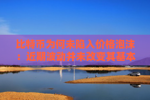 比特币为何未陷入价格泡沫：近期波动并未改变其基本面