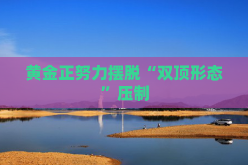 黄金正努力摆脱“双顶形态”压制-图1